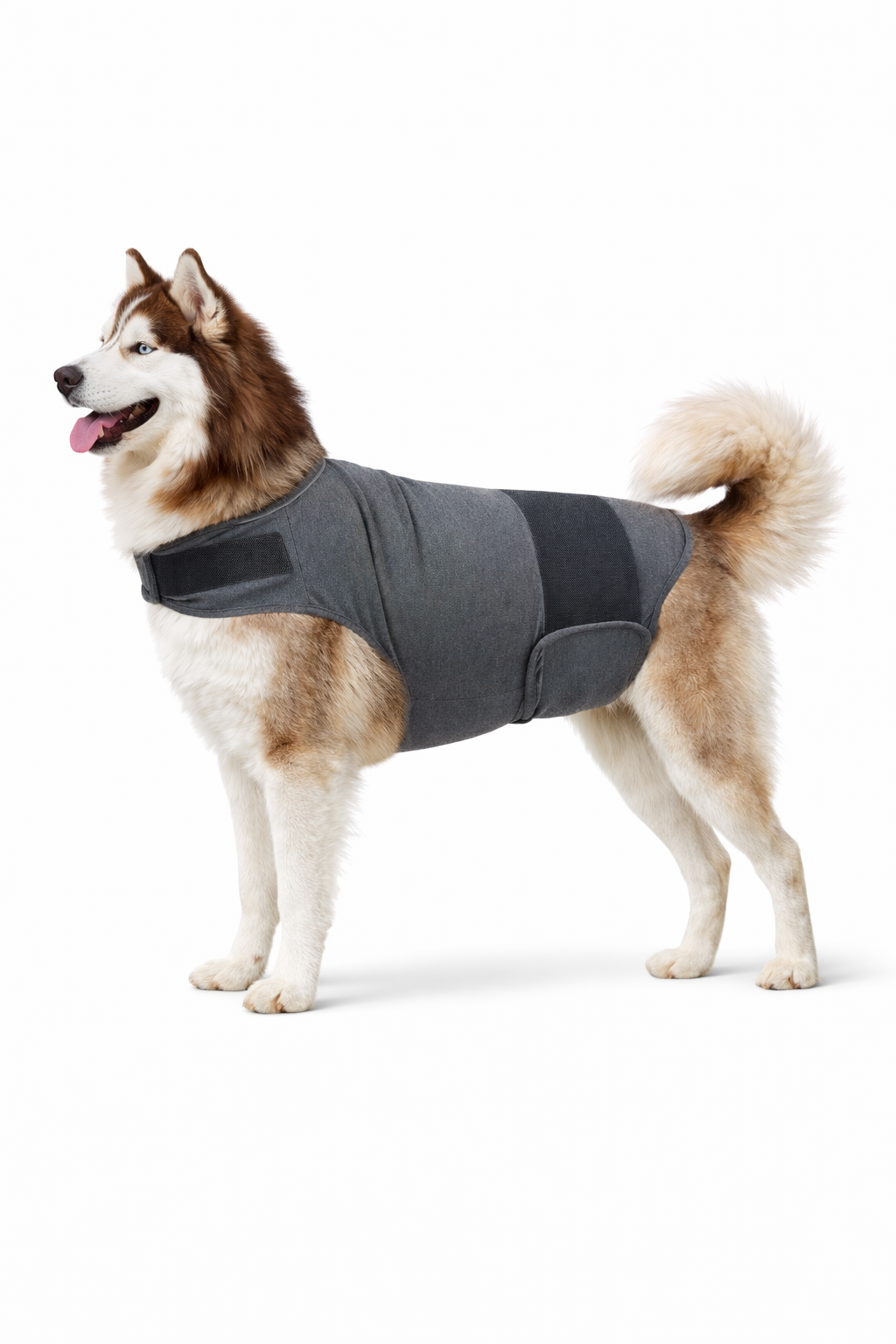 Dog Anxiety Relief Vest for Stress & Barking Control